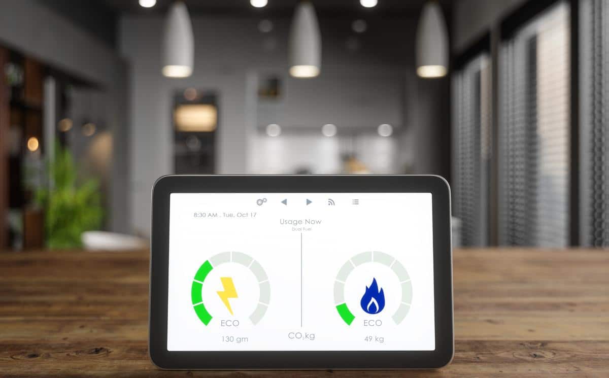 Smart home energy monitor for dual fuel usage